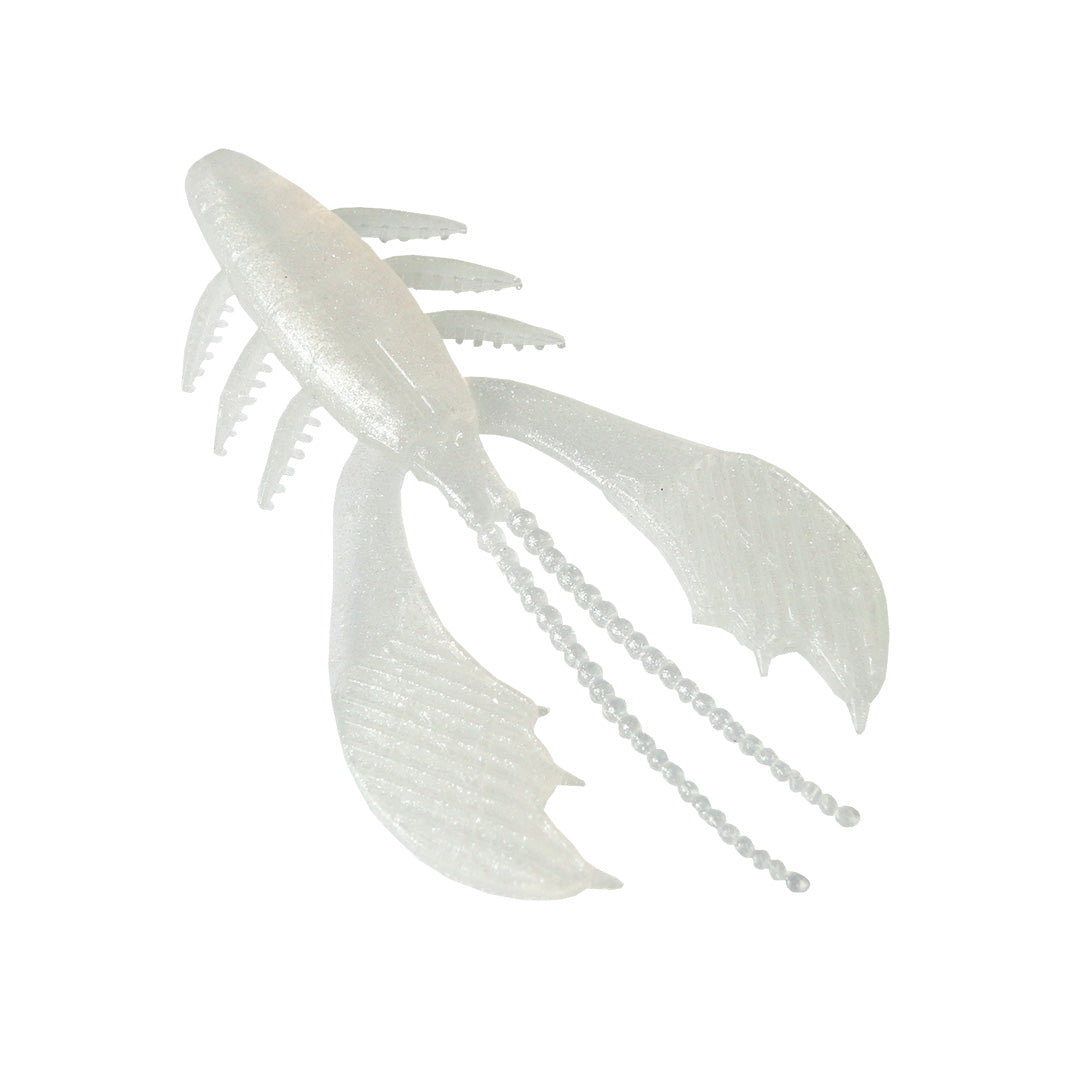 CRAYFISH_81